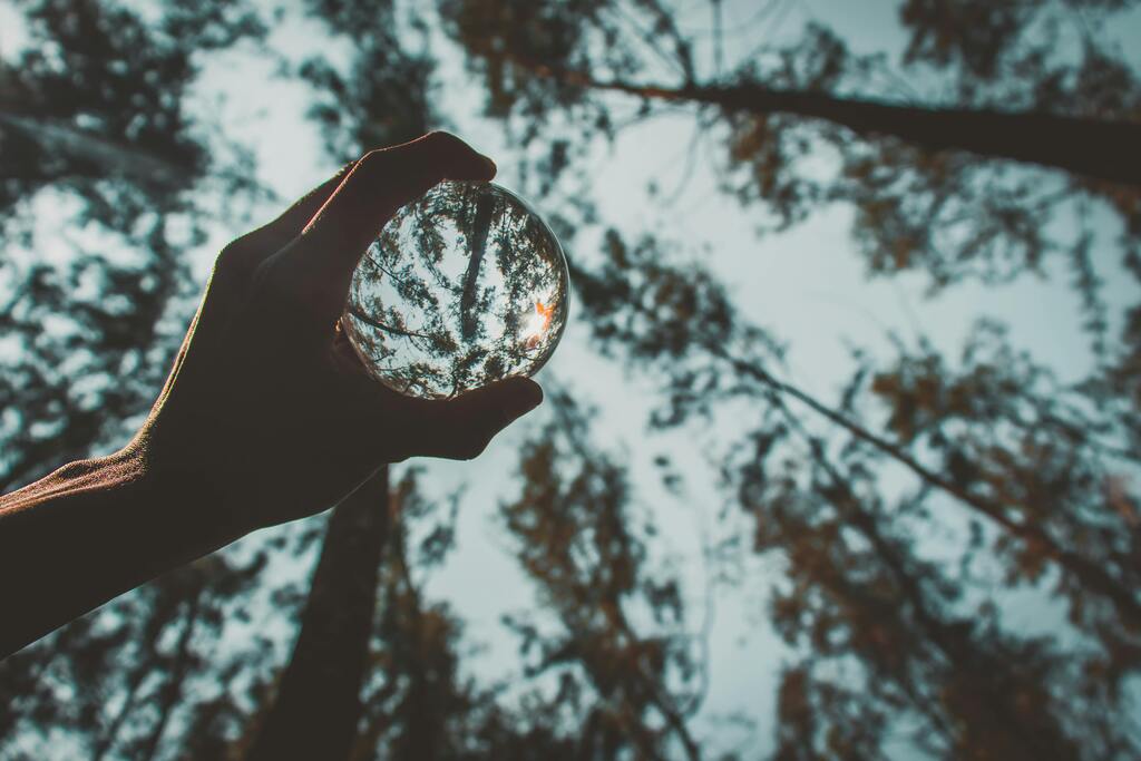 Person holding a glass sphere reflecting trees, symbolising the mind body connection in somatic symptoms